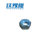 铁豫隆 304不锈钢螺帽 M12/个