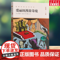 爱丽丝漫游奇境 世界少年文学经典文库升级版任溶溶主编名著必青少年小学生三四五六年级课外书阅读寒暑假书目儿童文学故事书
