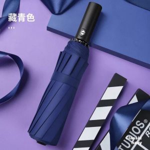 红叶(Hong Ye) 超大12骨全自动雨伞男大号双人加固抗风三折叠自动伞晴雨伞2653