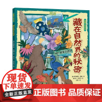 图解万物系列 藏在自然界的秘密 6-12岁 克丽斯廷·布朗 著 科普