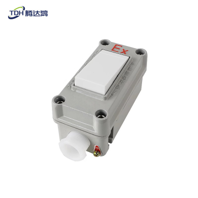 腾达鸿 防爆照明开关 一开单控 TDH-K1 /个