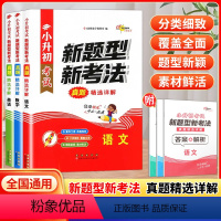 新题型新考试[语数英 三册] 小学升初中 [正版]2023新版小升初考试新题型新考法真题精选详解语文数学英语通用版内含答