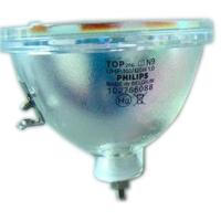 成越飞利浦TOP 206 N9 UHP100/120W 1.0原装投影机灯泡投影仪灯泡_EEo65