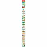 草原上的动物(精)/亲亲科学图书馆互动立体小百科