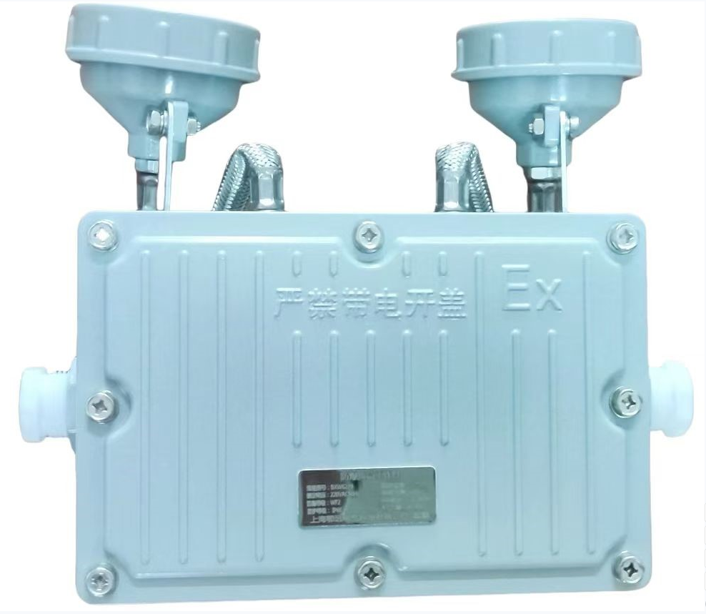 鄂远(EYUAN)应急灯 EY-W6229 2*6W