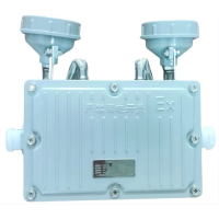 鄂远(EYUAN)应急灯 EY-W6229 2*6W