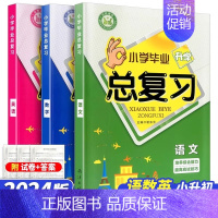 语文+数学+英语 小学升初中 [正版]2024新版名校培优 小学毕业升学总复习 语文数学英语 南海出版社小升初系统总复习
