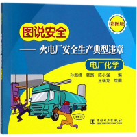 音像火电厂安全生产典型违章孙海峰,韩路,陈小强 编;王瑞龙 绘图