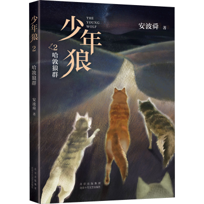 醉染图书少年狼 2 哈敦狼群9787530221044