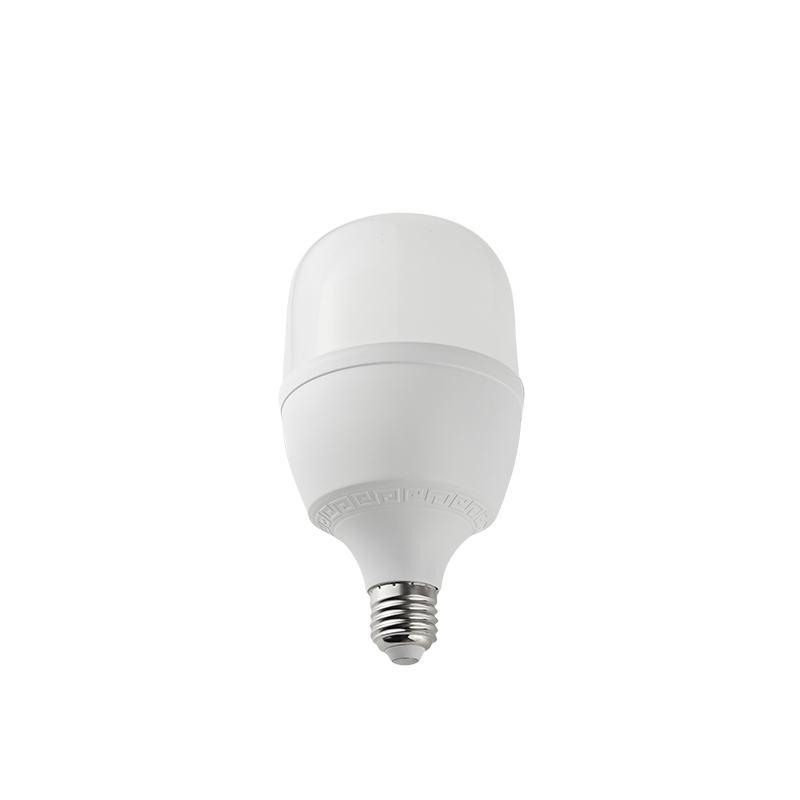 晫安联 ZX2101C AC220V 30W 6500K 螺口式 E27 LED 工业级节能灯泡 ( 计价单位:个))