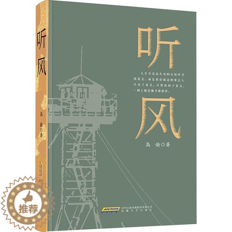 [醉染正版]正版 听风 高愉 现代文学小说 文学 军旅小说书籍 9787539673219 安徽文艺出版社