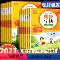 [全2册]上下册同步字帖 三年级上 [正版]一年级二年级三小学生练字帖四五六字帖上册下册每日一练笔画笔顺练语文生字同步描