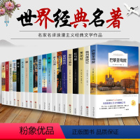 [正版]全套20册 世界二十大名著必读原著 钢铁是怎样炼成的 鲁滨逊漂流记 巴黎圣母院 童年高尔基中国经典书籍 小学生