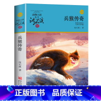 兵猴传奇 [正版]沈石溪动物小说品藏书系列全集36册 斑羚飞渡第七条猎狗后一头战象雪豹悲歌珍藏版全套画本生肖