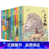 野生动物救助站 全12册 [正版]沈石溪动物小说系列全集全套动物救助站7-8-9-10-12周岁儿童文学读物小学生课外阅