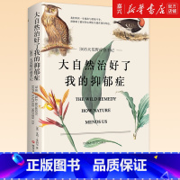 [正版]大自然治好了我的抑郁症(365天荒野疗愈手记) 艾玛米切尔著 一条找回宁静的自然疗愈之路心灵疗愈版瓦尔登湖虹影