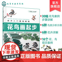美术入门基础教程 花鸟画起步 零基础学国画入门教材书籍 笔墨运用基本方法 国画着色基本知识 果蔬花卉的画法 禽鸟鱼虫的画