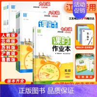 物理 苏科 九年级下 [正版]2024版通城学典初中课时作业本七八九年级789年数学语文英语物理化学政史上下册苏教版江