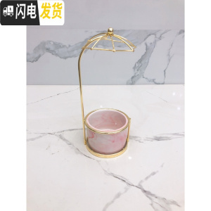 三维工匠ins北欧小清新多肉陶瓷小花盆创意个性室内好看铁艺简约客厅摆件 伞形架+粉盆 中花盆容器