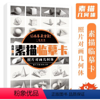 [正版]照片对画几何体素描临摹卡 2024一线美誉