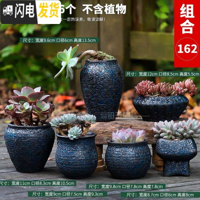 三维工匠多肉花盆大号老桩大口径老庄创意简约陶罐粗陶陶瓷小花盆 铁锈釉-08组合6个 中等花盆容器