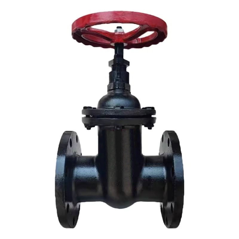 智铮朗月 法兰闸阀 Z45T-16 DN80 个