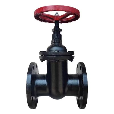 智铮朗月 法兰闸阀 Z45T-16 DN80 个