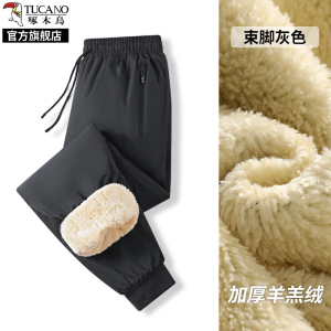 啄木鸟防风防水棉裤男士休闲裤冬季羊羔绒裤子加绒加厚防寒卫裤K