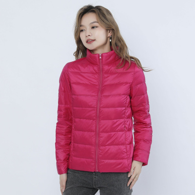 女式简约羽绒纯色女立领女装轻薄款羽绒服女士加大码