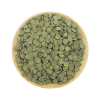 下沉鱼食清道夫鼠鱼异性鱼饲料蓝鲨虎头鲨底栖鱼饲料