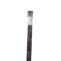 传承令 不锈钢扎带 12*850mm 根