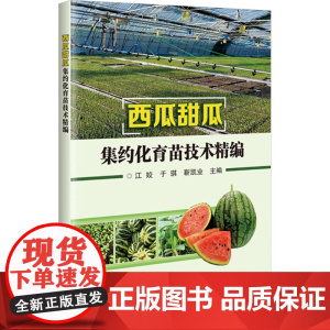 西瓜甜瓜集约化育苗技术精编 江姣 于琪 靳凯业 编 9787511668172中国农业科学技术出版社