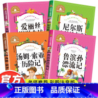 注音版 二三年级课外必读[全4册] [正版]二年级三年级课外书必读鲁宾逊漂流记汤姆索亚历险记尼尔斯骑鹅旅行记爱丽丝漫游奇