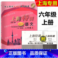 语文 六年级上 [正版]2024上海特训 语文 六年级第一学期/6年级上册(五四学制)上海版同步教辅知识点归纳基础强化训