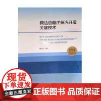 全新正版 稠油油藏注蒸汽开发关键技术 中国石油大学出版社 9787563674305