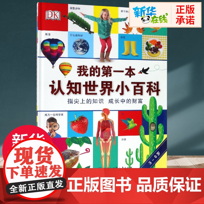 DK我的第一本认知世界小百科 卡萝尔?沃森 著 付海婧 译 益智游戏/立体翻翻书/玩具书少儿 正版图书籍