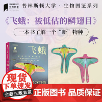 飞蛾 安德烈·索拉科夫等 著 科普读物