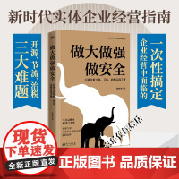 做大做强做安全:实体企业开源、节流、治税实战手册 东方出版社 新时代实体企业经营指南