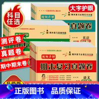 [单本/人教版]语文试卷 五年级上 [正版]一年级二年级三年级四五六年级上册下册试卷测试卷全套人教版语文数学英语期末复习