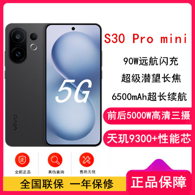 [全新]vivo S30 Pro mini 12GB+512GB 可可黑 天玑9300+性能芯 90W闪充 6500毫安大电池 超级潜望长焦 5G双卡手机