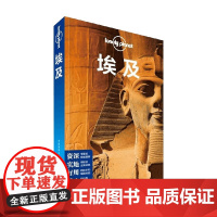 埃及 澳大利亚Lonely Plan 著 旅游