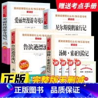 [全套4本送考点]鲁滨逊+汤姆·索亚+爱丽丝+尼尔斯 [正版]2025新版快乐读书吧六年级上册小英雄雨来爱的教育童年小学