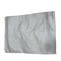 智铮朗月 编织袋 100*100*100cm 个