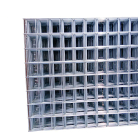 先围 密目网片 1100*3000mm 片