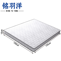 铭羽洋椰棕床垫1000*1900*100mm张