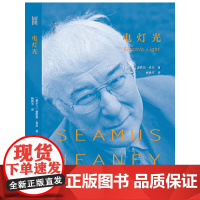 电灯光(贝尔文学奖获得者、享誉世界的伟大诗人希尼开启晚期 谢默斯·希尼 译者:杨铁军 广西人民出版社 正版书籍