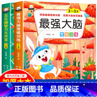2~3岁左右脑+最强大脑[全2册] [正版]全脑开发700题2-3岁幼儿思维逻辑训练书儿童益智早教书幼儿园小班中大班宝宝