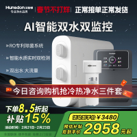 汉斯顿/Hunsdon净水器家用厨下式净水机家用直饮净水器C2净水器家用无桶双水大流量过滤器净水器