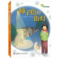 音像柿子色的街灯陈素宜 著;孙心瑜 绘