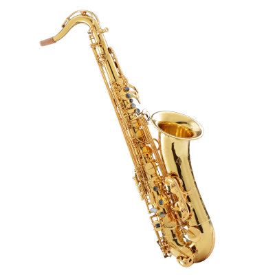 美德威MIDWAY次中音专业演奏萨克斯乐器MTS-728MTS-728